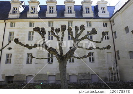 Fontevraud abbey, Saumur, Loire valley, France 120378878