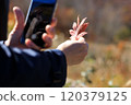 Autumn leaves, woman taking photos with smartphone, image 120379125