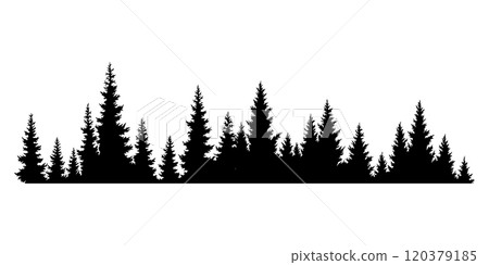 Fir trees silhouette. Coniferous spruce horizontal background pattern, black evergreen woods vector illustration. Beautiful hand drawn panorama of coniferous forest 120379185