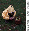 Little boy collecting chestnuts in the nature during autumn.  120379486