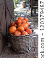 autumn decorative pumpkins. Thanksgiving or Halloween holiday harvest concept. 120379487