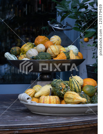 Autmn Gourds And pumpkins decorations in large bowls. Autmn Gourds And pumpkins decorations in large bowls. 120379489