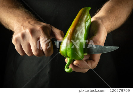 Chef cutting large green bell pepper with knife. Close-up of cook hands holding ripe pepper before preparing healthy dish for dinner Chef cutting large green bell pepper with knife. Close-up of cook hands holding ripe pepper before preparing healthy dish for dinner 120379709
