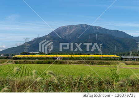 伊比山和黃博士 伊比山和黃博士 120379725