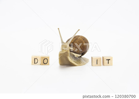 Beautiful grape snail move between wooden cubes. On cubes written words DO IT 120380700