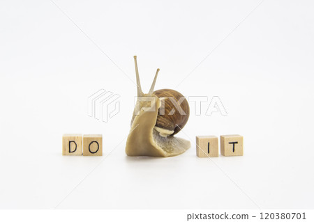 Beautiful grape snail move between wooden cubes. On cubes written words DO IT 120380701