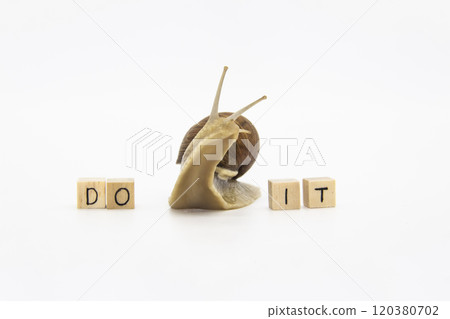 Beautiful grape snail move between wooden cubes. On cubes written words DO IT Beautiful grape snail move between wooden cubes. On cubes written words DO IT 120380702
