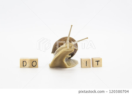 Beautiful grape snail move between wooden cubes. On cubes written words DO IT Beautiful grape snail move between wooden cubes. On cubes written words DO IT 120380704