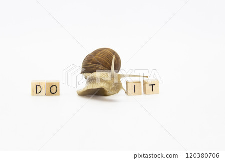 Beautiful grape snail move between wooden cubes. On cubes written words DO IT Beautiful grape snail move between wooden cubes. On cubes written words DO IT 120380706