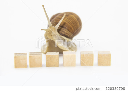 Beautiful grape snail move next wooden cubes. Beautiful grape snail move next wooden cubes. 120380708