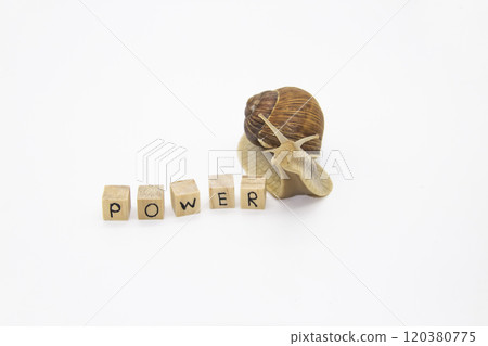 Beautiful grape snail move to wooden cubes. On cubes written word Power Beautiful grape snail move to wooden cubes. On cubes written word Power 120380775