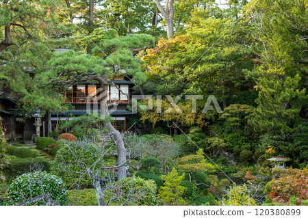 本間美術館花園（鶴舞園） 120380899