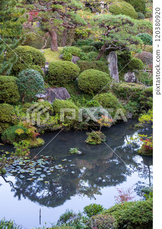 本間美術館花園（鶴舞園） 120380920