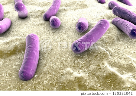 Bacteria on surface of skin, mucous membrane or intestine 120381041
