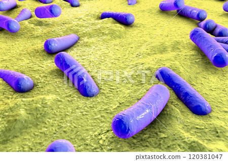 Bacteria on surface of skin, mucous membrane or intestine 120381047