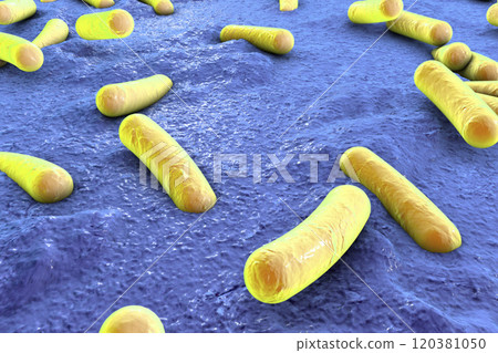 Bacteria on surface of skin, mucous membrane or intestine Bacteria on surface of skin, mucous membrane or intestine 120381050