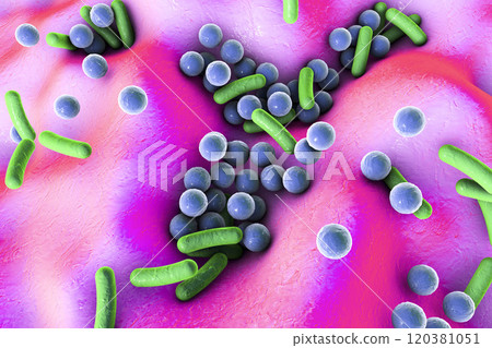 Bacteria on surface of skin, mucous membrane or intestine Bacteria on surface of skin, mucous membrane or intestine 120381051