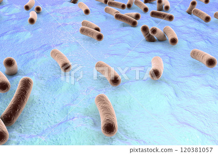 Bacteria on surface of skin, mucous membrane or intestine Bacteria on surface of skin, mucous membrane or intestine 120381057