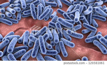 Bacteria, human microbiome 120381061