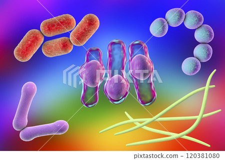 Microbes of different shapes 120381080