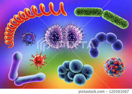 Microbes of different shapes 120381087