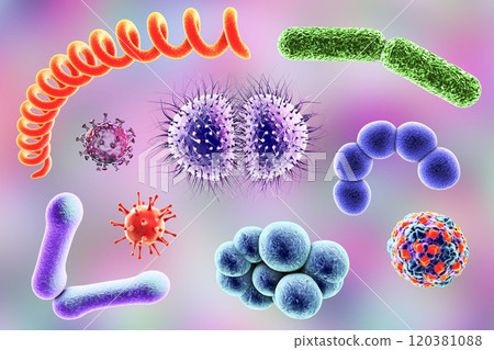 Microbes of different shapes Microbes of different shapes 120381088