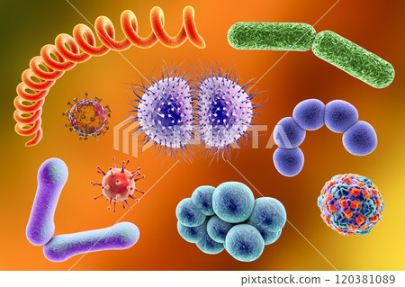 Microbes of different shapes Microbes of different shapes 120381089