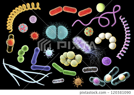 Microbes of different shapes 120381090