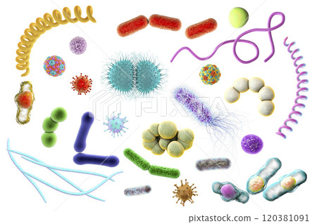 Microbes of different shapes Microbes of different shapes 120381091