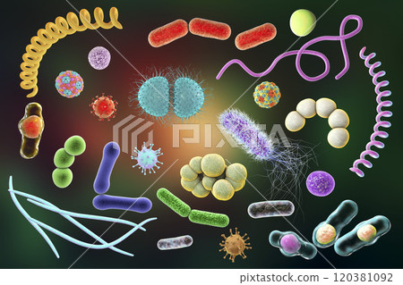Microbes of different shapes 120381092