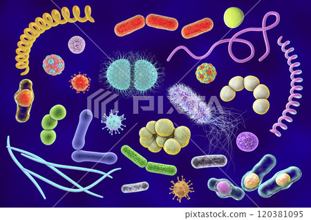 Microbes of different shapes 120381095