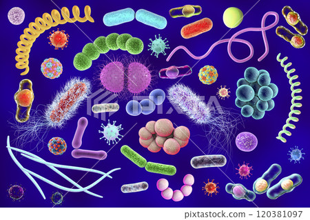 Microbes of different shapes Microbes of different shapes 120381097