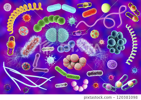 Microbes of different shapes Microbes of different shapes 120381098