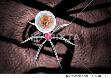 Bacteriophage, a virus which infects bacteria 120381115