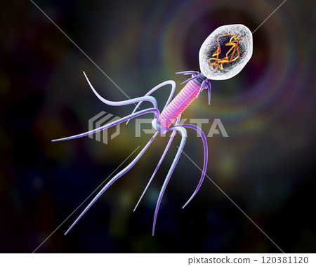Bacteriophage on colorful background 120381120