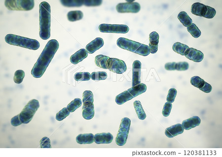Bacteria Bacteroides, 3D illustration 120381133