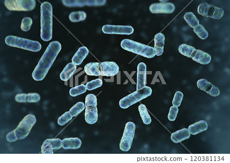 Bacteria Bacteroides, 3D illustration 120381134
