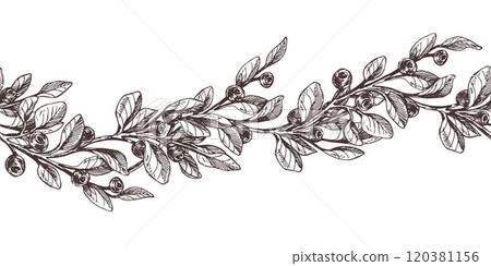 Blueberry sprigs with berries and leaves. Graphic illustration, hand drawn with brown ink, line art monochrome. Seamless border, pattern, simple on the theme of forest, harvest, nature. Blueberry sprigs with berries and leaves. Graphic illustration, hand drawn with brown ink, line art monochrome. Seamless border, pattern, simple on the theme of forest, harvest, nature. 120381156