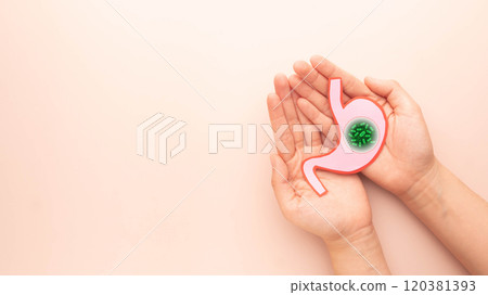 Helicobacter pylori bacteria infects human stomach. Awareness of H.pylori infections may result in stomach inflammation (gastritis), peptic ulcer disease. Gastrointestinal concept. Helicobacter pylori bacteria infects human stomach. Awareness of H.pylori infections may result in stomach inflammation (gastritis), peptic ulcer disease. Gastrointestinal concept. 120381393