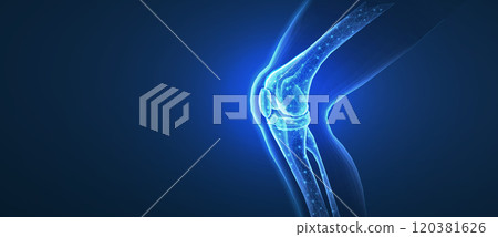 Knee joint isolated on blue. Bone health, physiotherapy care 120381626