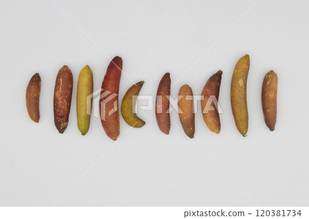 Finger limes lined up against a white background - a rare citrus fruit native to Australia Finger limes lined up against a white background - a rare citrus fruit native to Australia 120381734