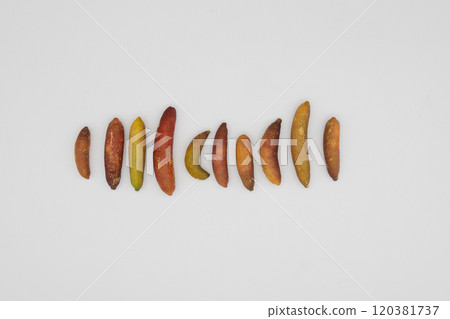 Finger limes lined up against a white background - a rare citrus fruit native to Australia Finger limes lined up against a white background - a rare citrus fruit native to Australia 120381737
