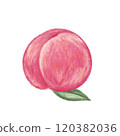 蠟筆風格桃子插畫 120382036