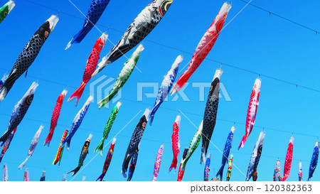 “2024年川口芝川鯉魚旗節”鯉魚旗與藍天美景 “2024年川口芝川鯉魚旗節”鯉魚旗與藍天美景 120382363