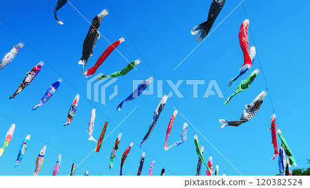 Beautiful scenery of carp streamers and blue skies at the "Kawaguchi Shibakawa Carp Streamer Festival 2024" 120382524