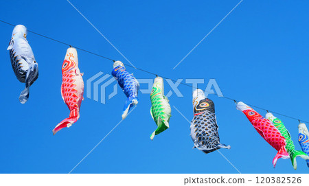 “2024年川口芝川鯉魚旗節”鯉魚旗與藍天美景 120382526