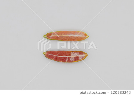 Finger limes served on a blue plate. Cross-section of finger lime and chunks of flesh Finger limes served on a blue plate. Cross-section of finger lime and chunks of flesh 120383243