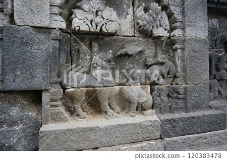 婆羅浮屠遺址、第一走廊浮雕/啄木鳥和獅子 [印尼日惹] 120383478