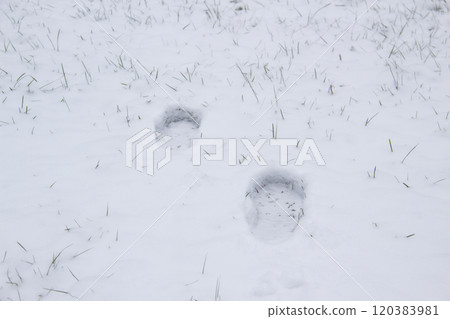 A steps against snow background. footprints on white snow background of boots. Human traces on snow. A steps against snow background. footprints on white snow background of boots. Human traces on snow. 120383981