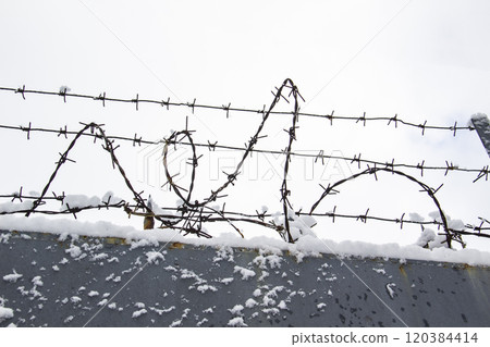 Barbed wire on the fence against light background in the winter cloudy day Barbed wire on the fence against light background in the winter cloudy day 120384414